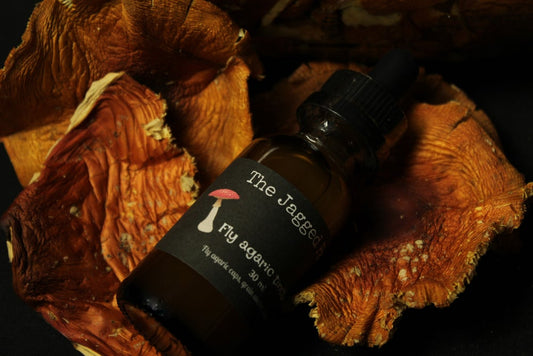 Fly Agaric Tincture