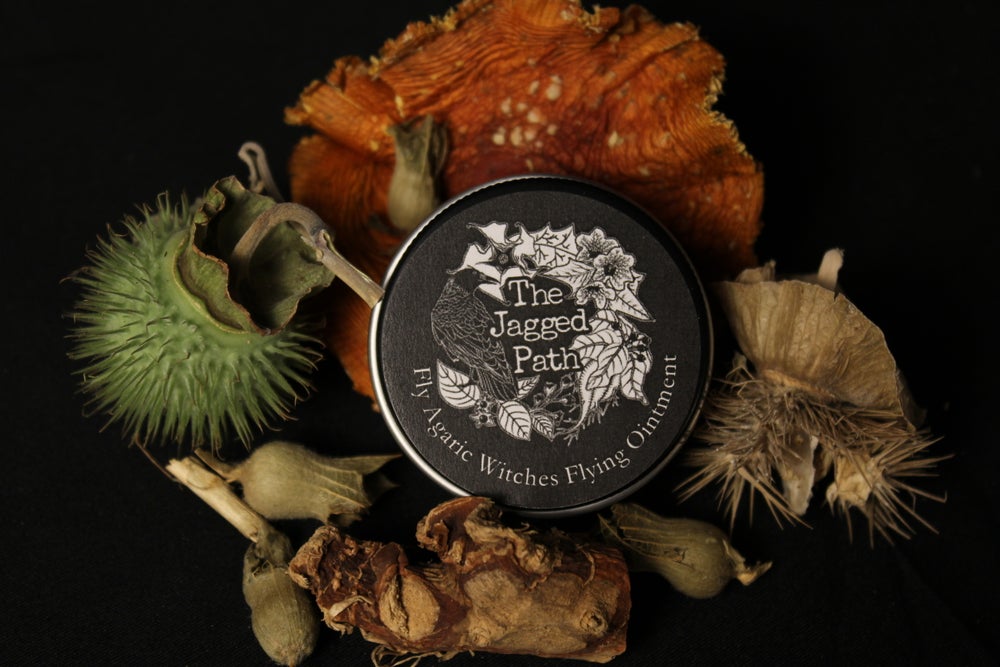 Fly Agaric Witches Flying Ointment