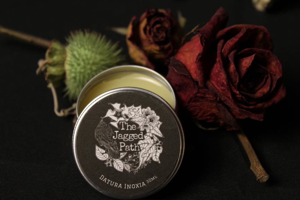 Datura Inoxia Flying Ointment