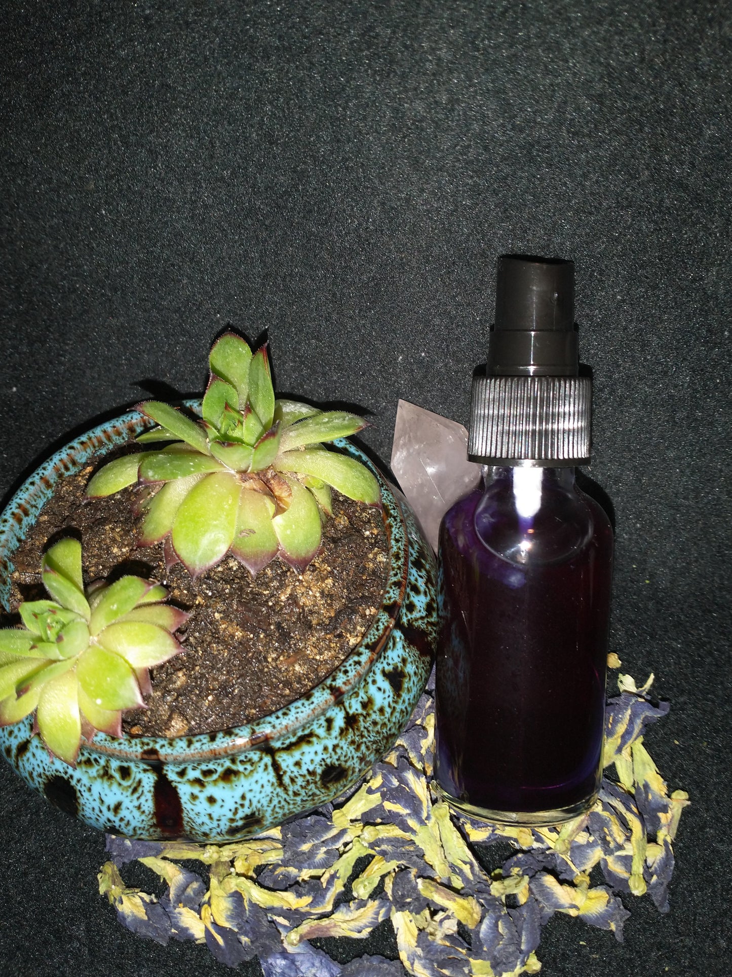 Butterfly Pea Flower Facial toner