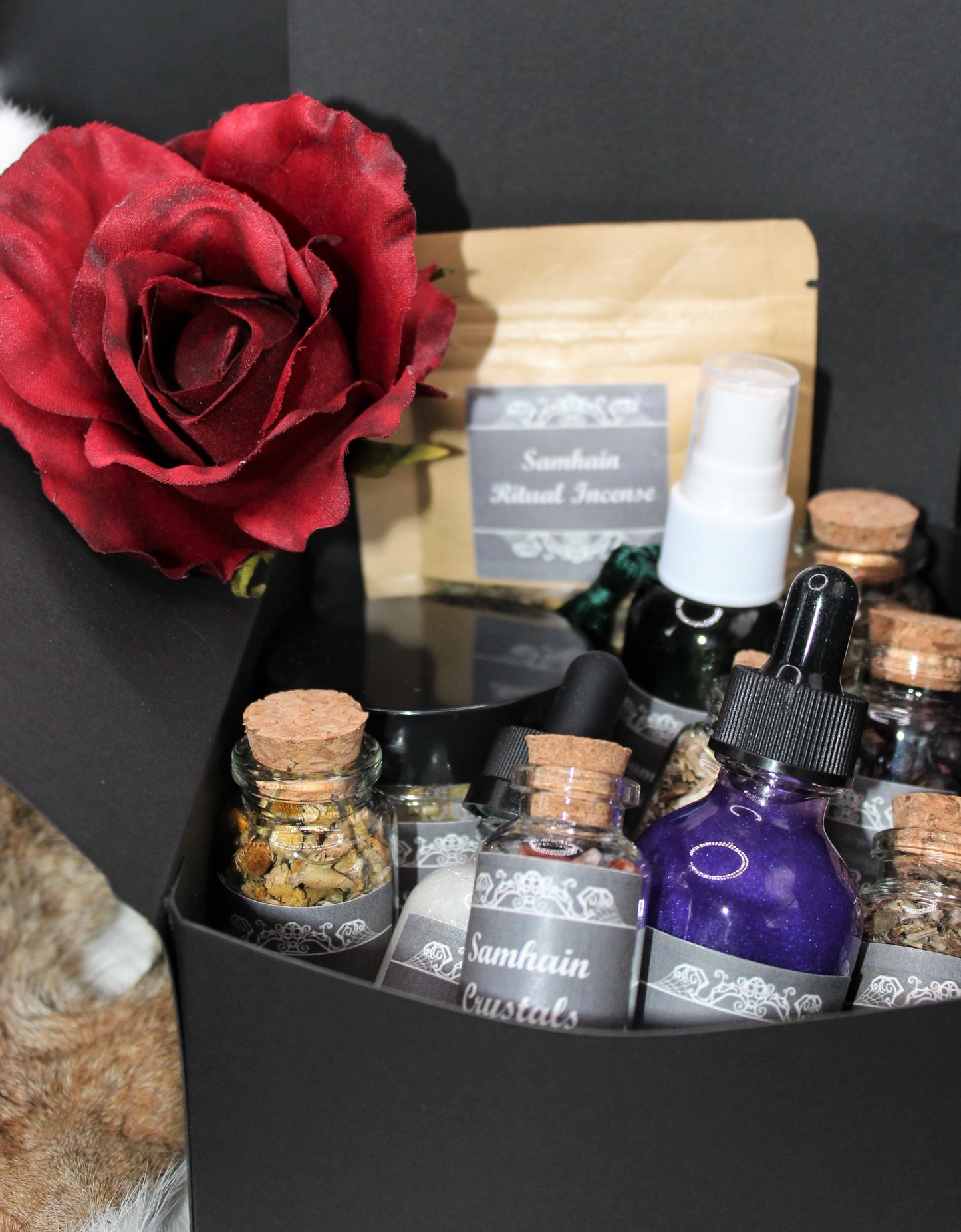 Samhain Ritual Sabbath Collection Box