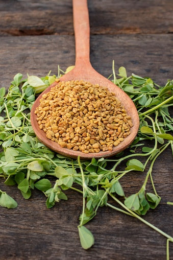 Fenugreek Tincture