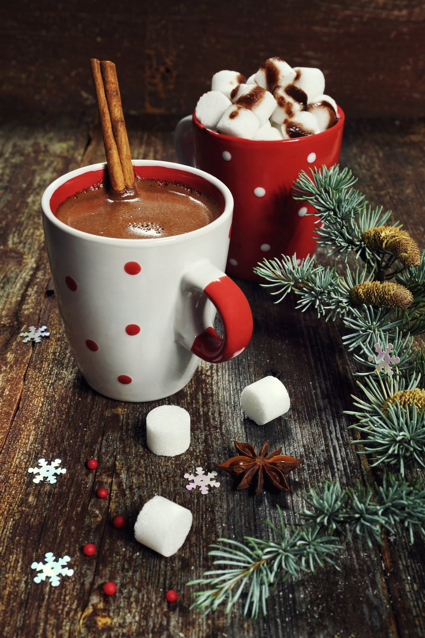 Savory Hot Cocoa